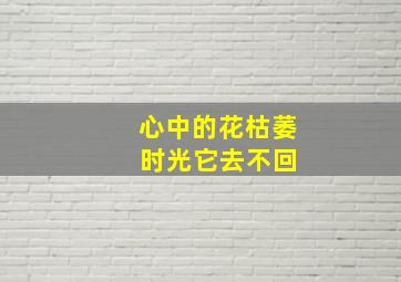 心中的花枯萎 时光它去不回